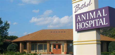 buckhead animal hospital|osu animal hospital columbus ohio.